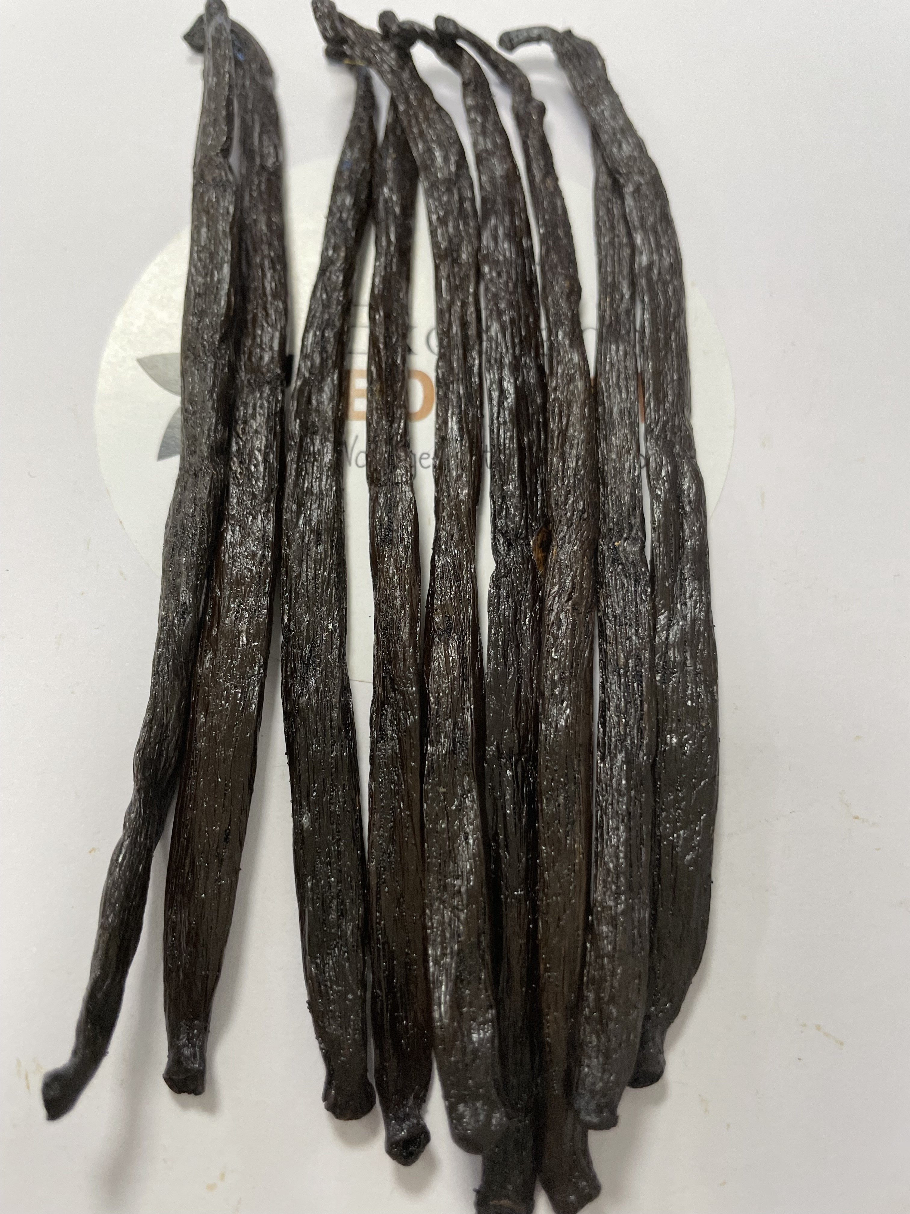Madagascar Lot de 10 gousses de vanille Qualité supérieure A 14-17 cm